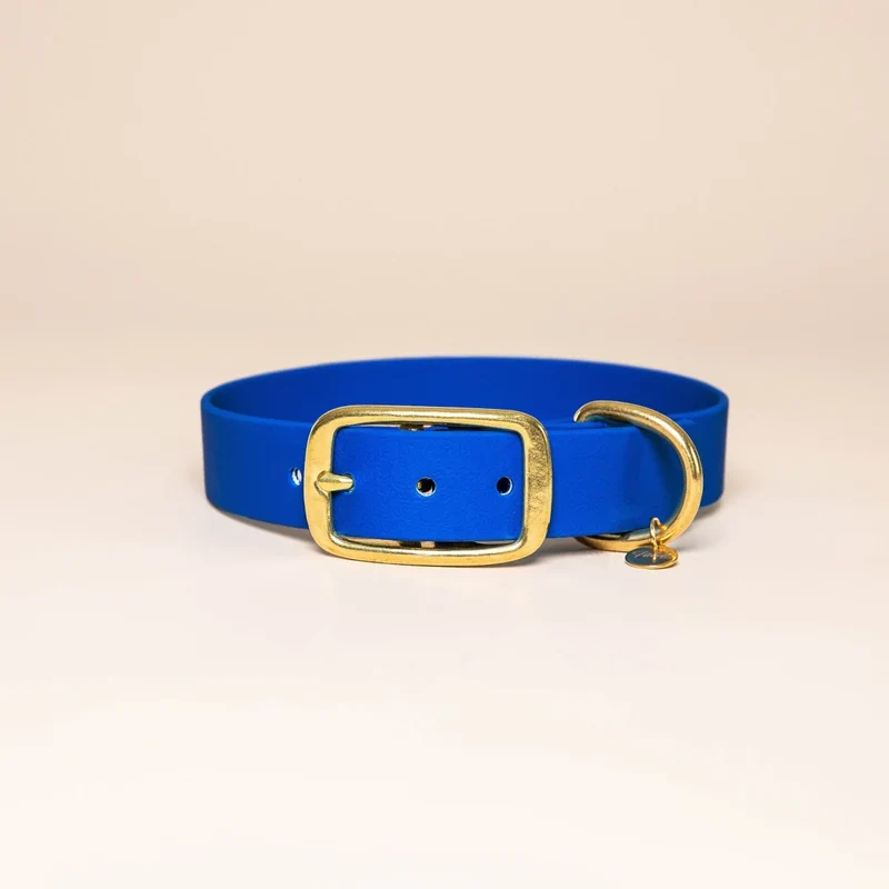 COLLIER IMPERMÉABLE - Bleu roi