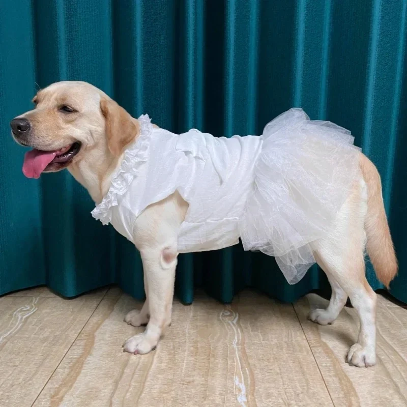 Robe de mariage pour gros chien