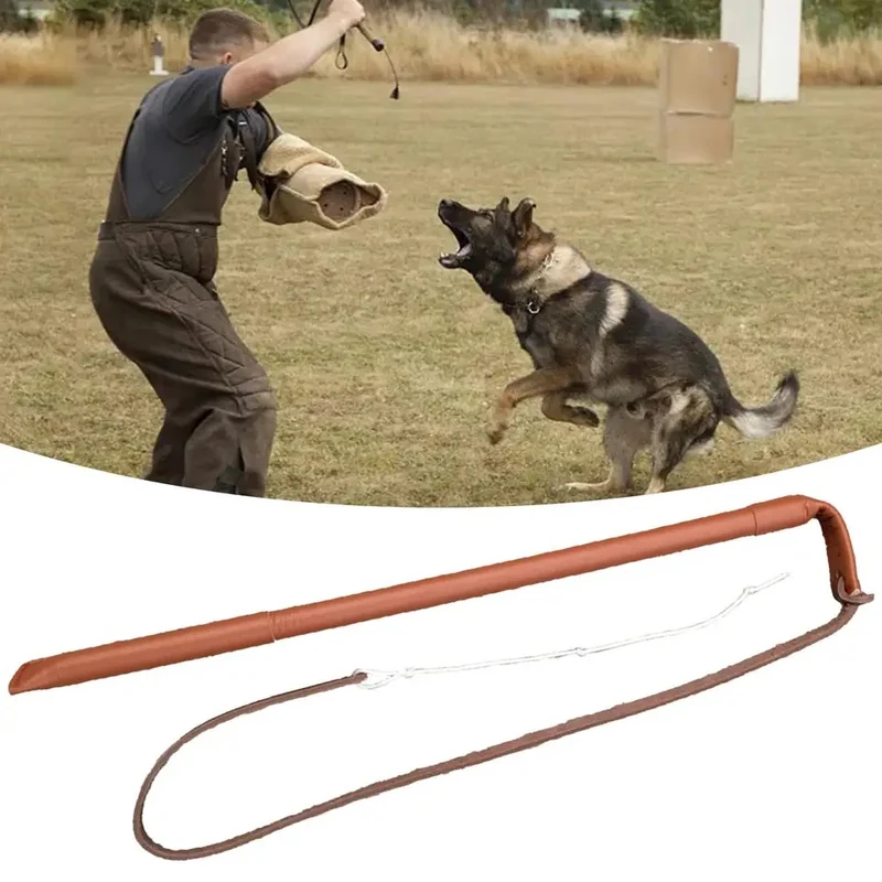 Fouet de motivation sport canin mordant