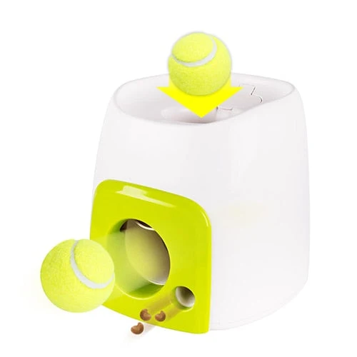 Lanceur balle chien