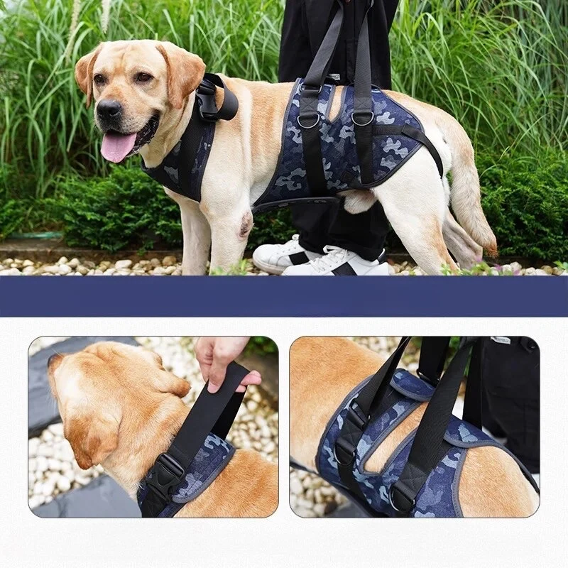 Harnais de reeducation pour chien