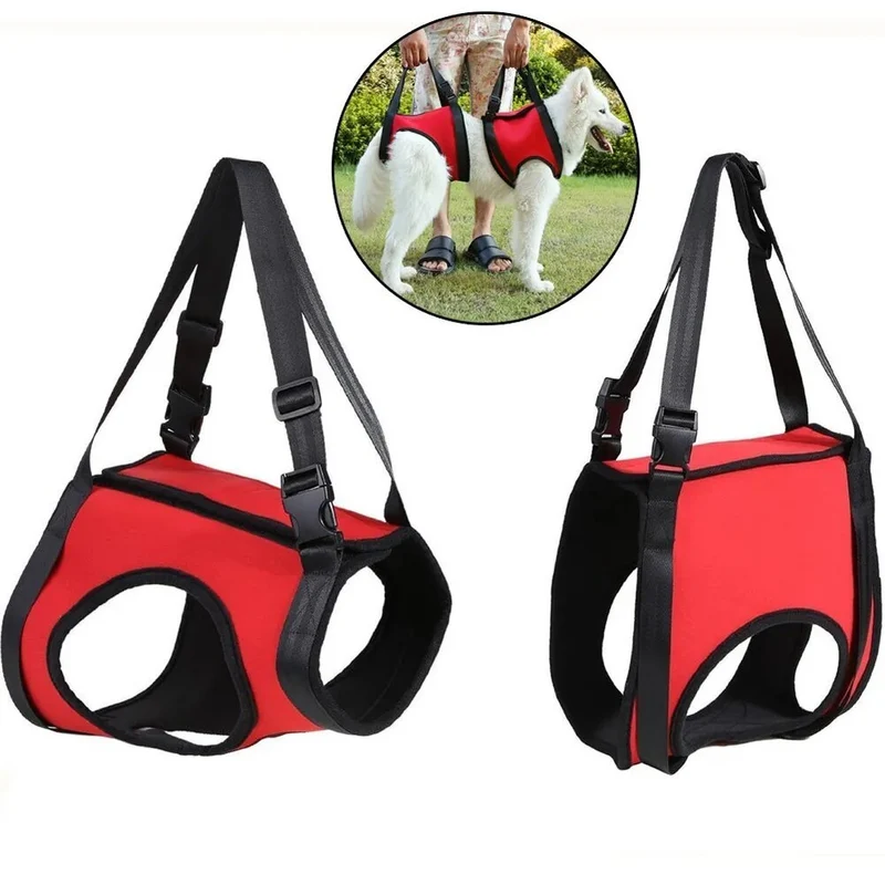 Harnais de levage pour chien