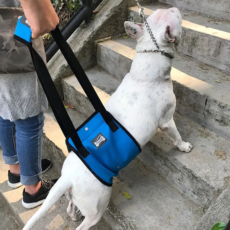 Harnais de soutien à la marche chien