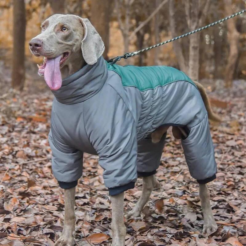 Imperméable pour chien de chasse