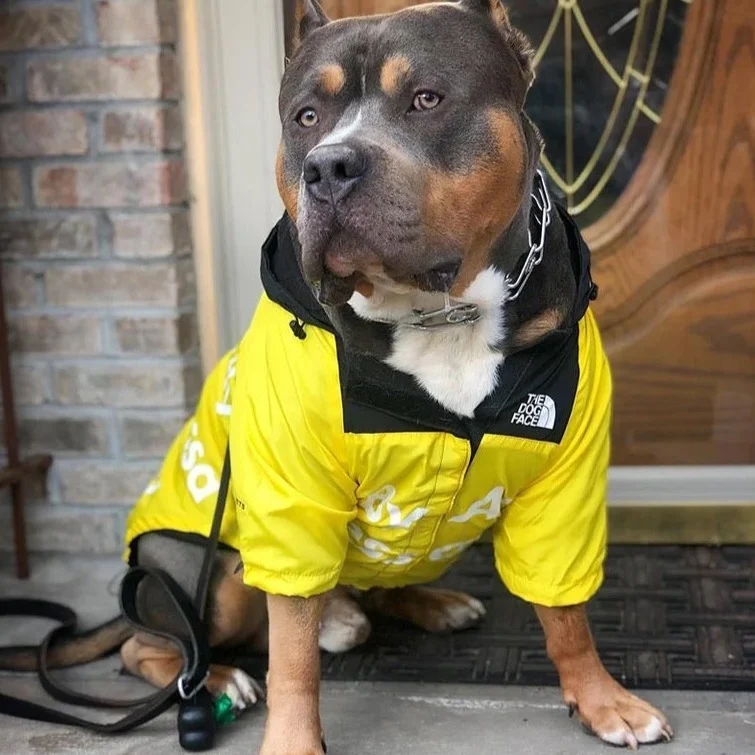 Doudoune pour chien the north Face