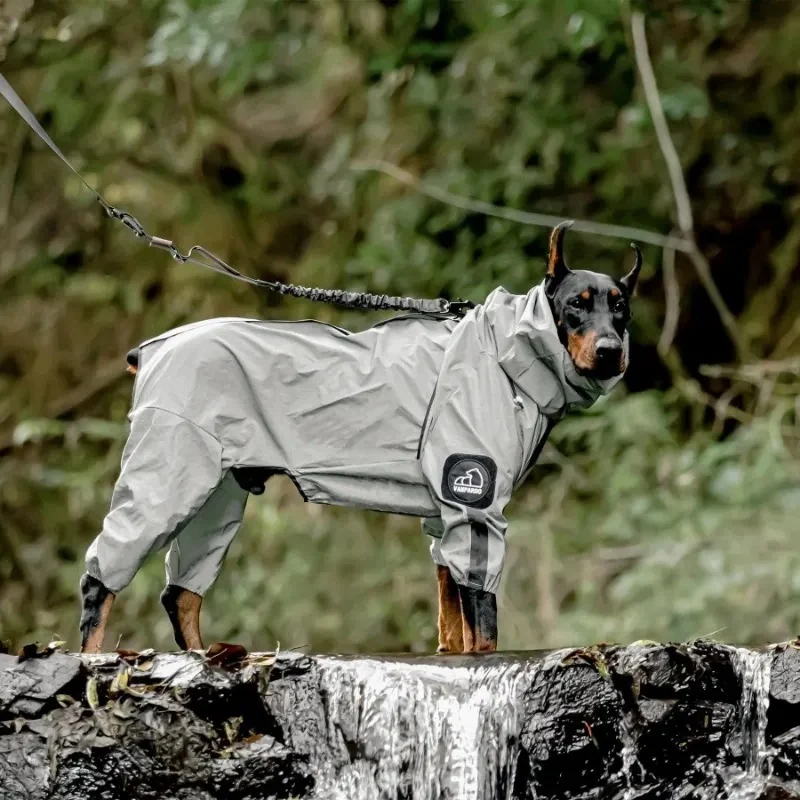Imperméable chien réfléchissant