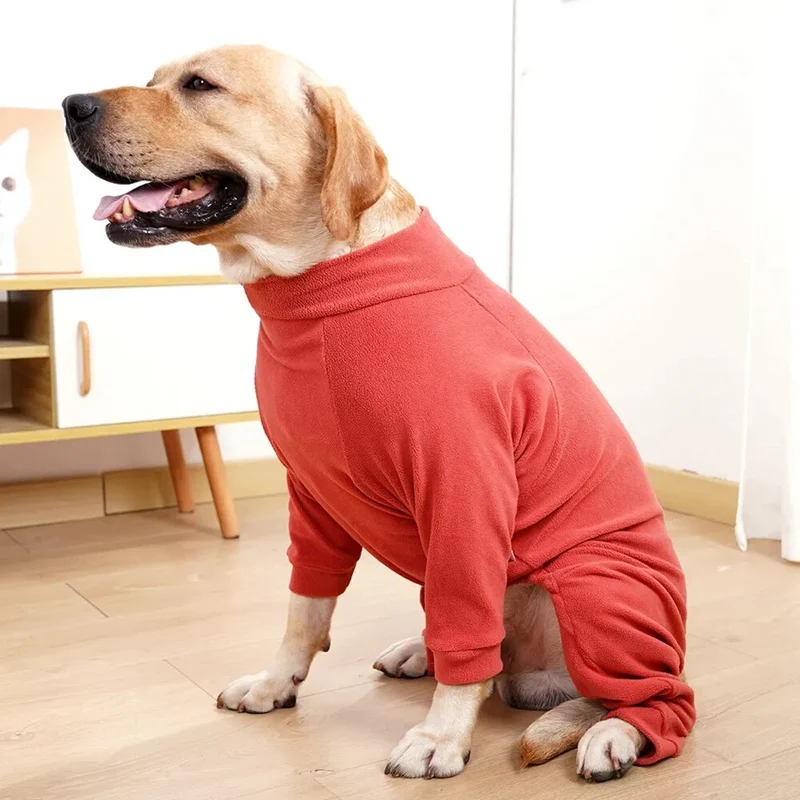 Pyjama pour chien grande taille