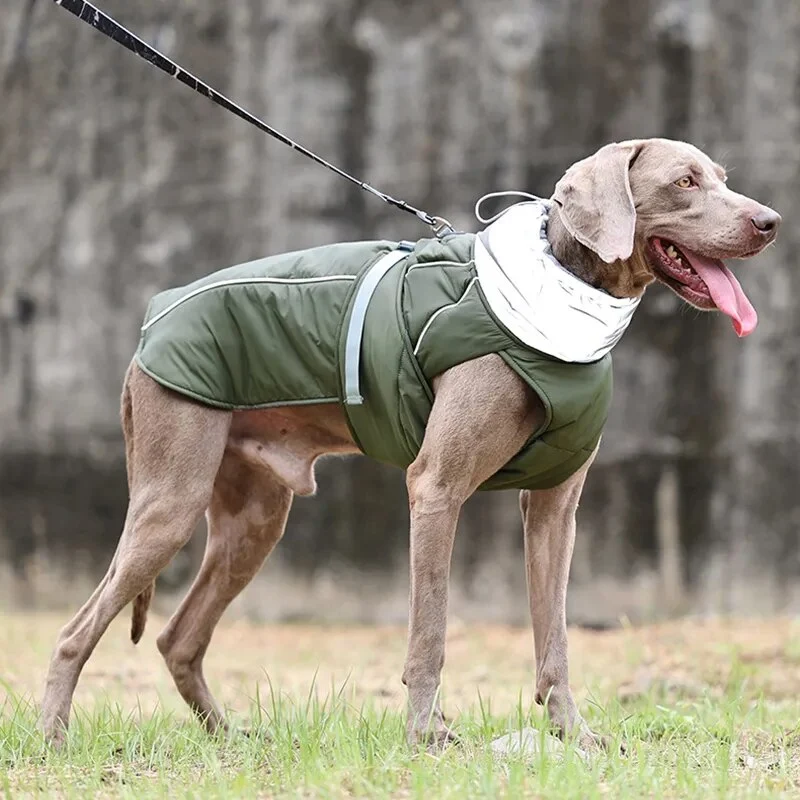 Manteau chien col réfléchissant