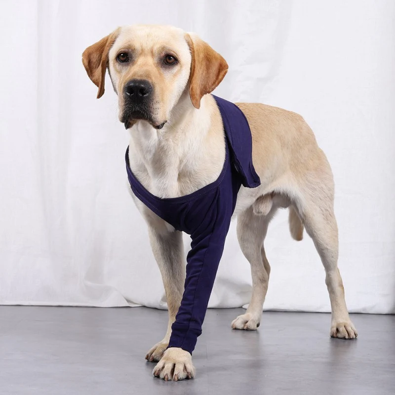 Attelle chien patte avant