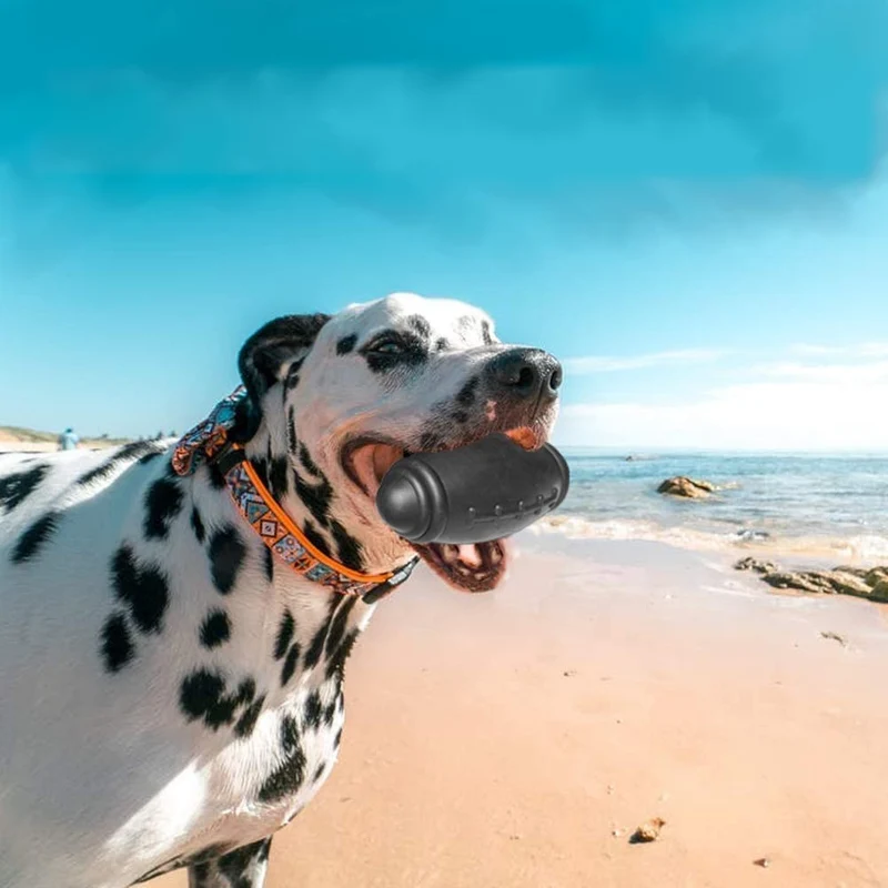 Ballon indestructible pour chien