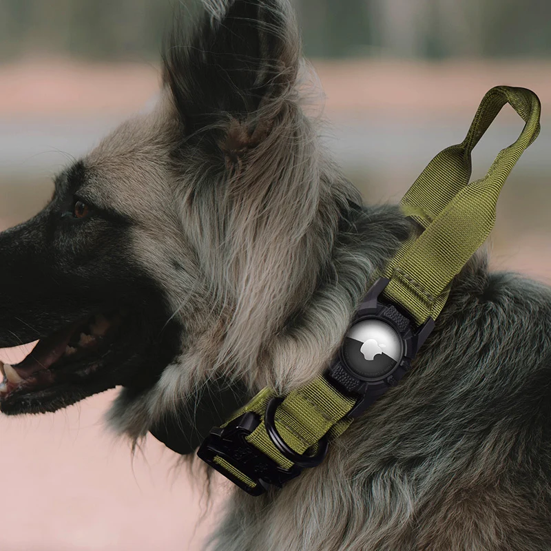 Collier airtag pour chien