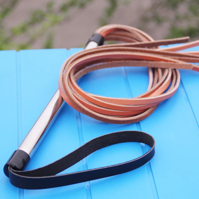 Fouet de dressage pour chien