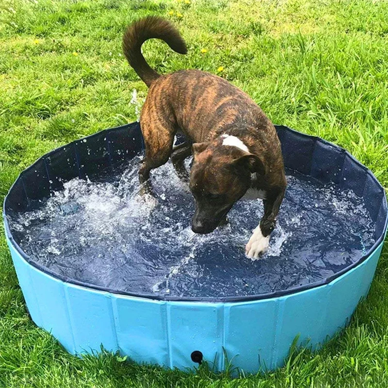 PISCINE POUR CHIEN XXL