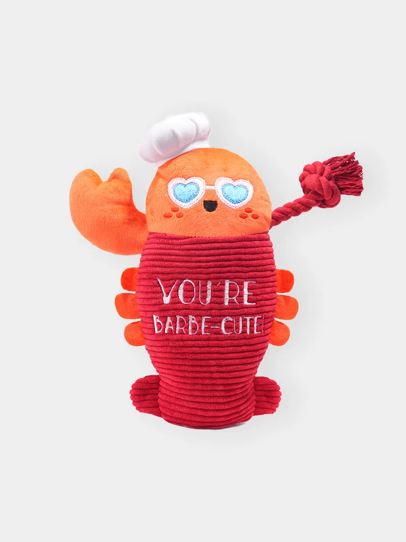 Peluche pour chien avec corde - Homard 🦞 - HugSmart