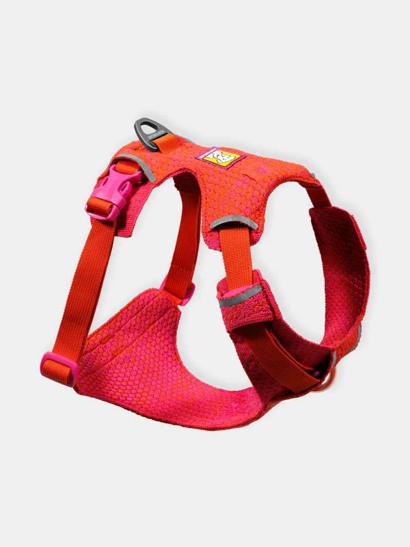 Harnais ruffwear - Front Range Flex Harness - Rose-Violet