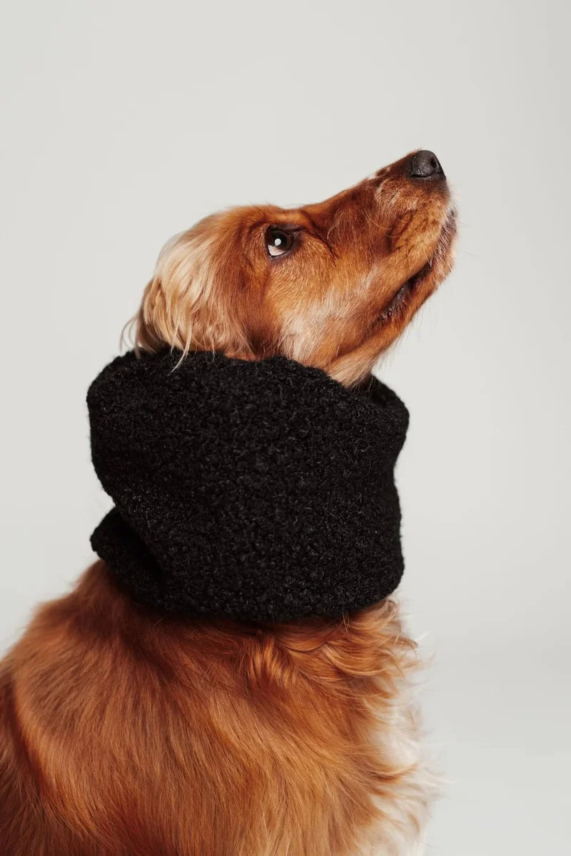 🖤 Snood d’hiver réversible noir pour chien – chaud, chic & imperméable