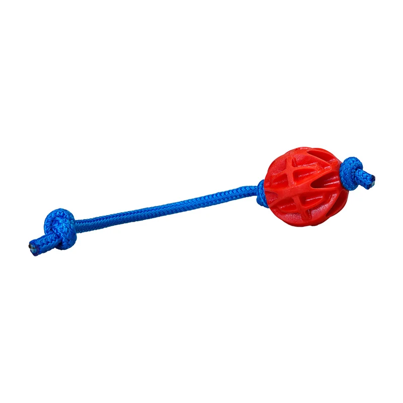 Baxter Ball mit Seil