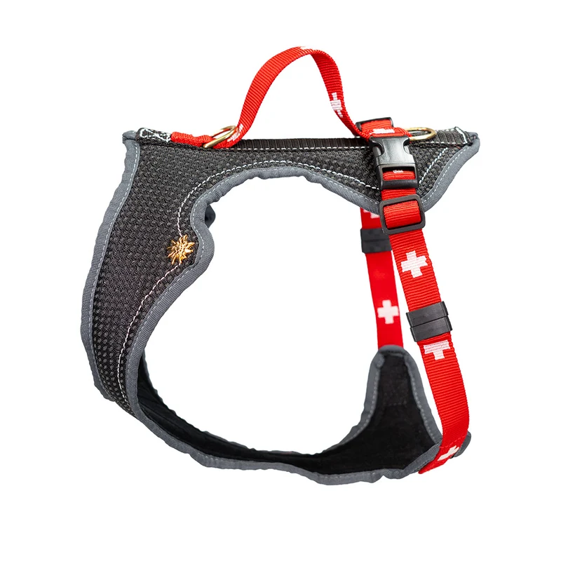 Dog`s Fun Run SWISS Edition