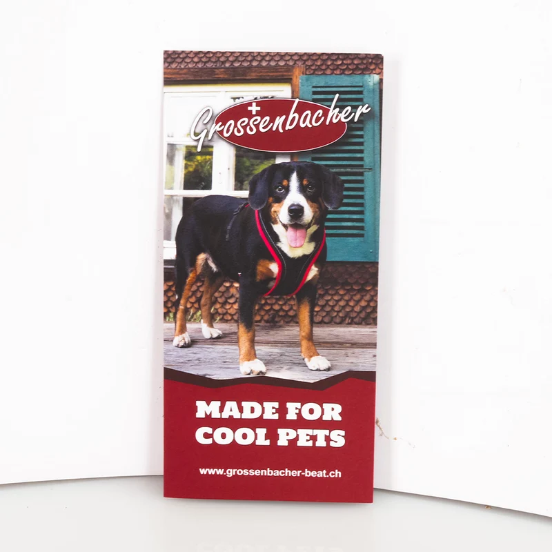 Flyer Grossenbacher MADE FOR COOL PETS