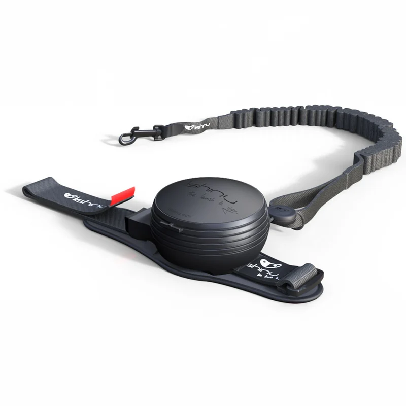 Lishinu bungee - intelligente Hundeleine