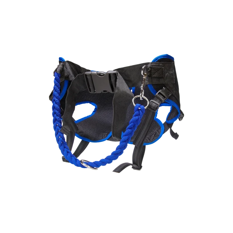 Jogginggurt Hose