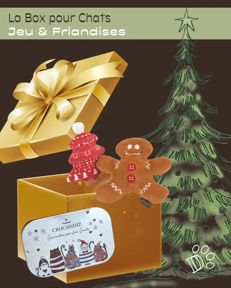 Box de Noël pour Chat – Jouets Pain d’Épices & Sapin & Friandises Naturelles