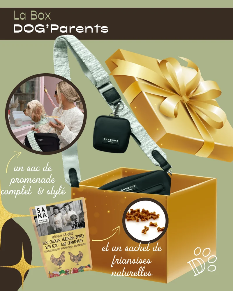 Coffret Cadeau DOG’Parents – Promenade stylée & friandises naturelles