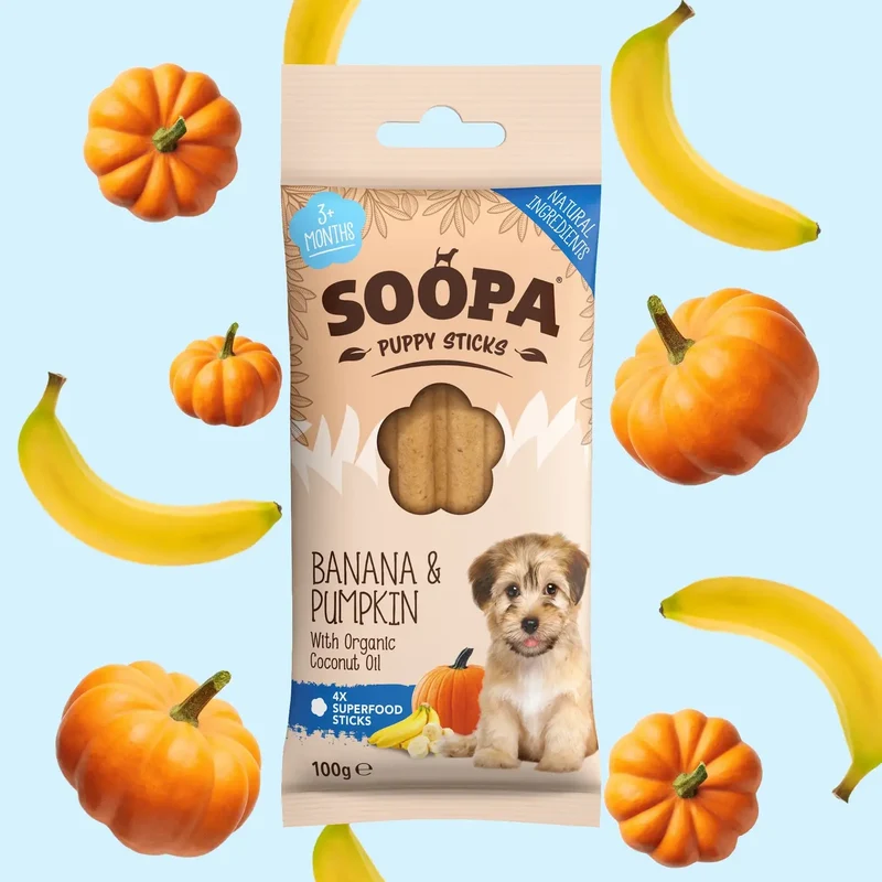 BÂTONNETS DENTAIRES CHIOT - Banane et Citrouille