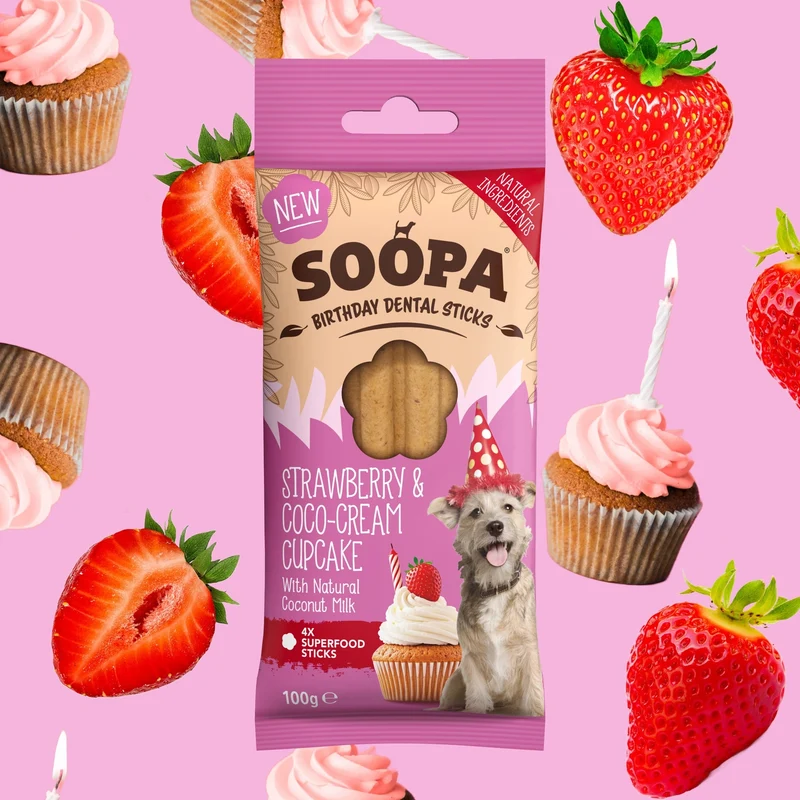 BÂTONNETS DENTAIRES - Birthday fraise et Crème de coco