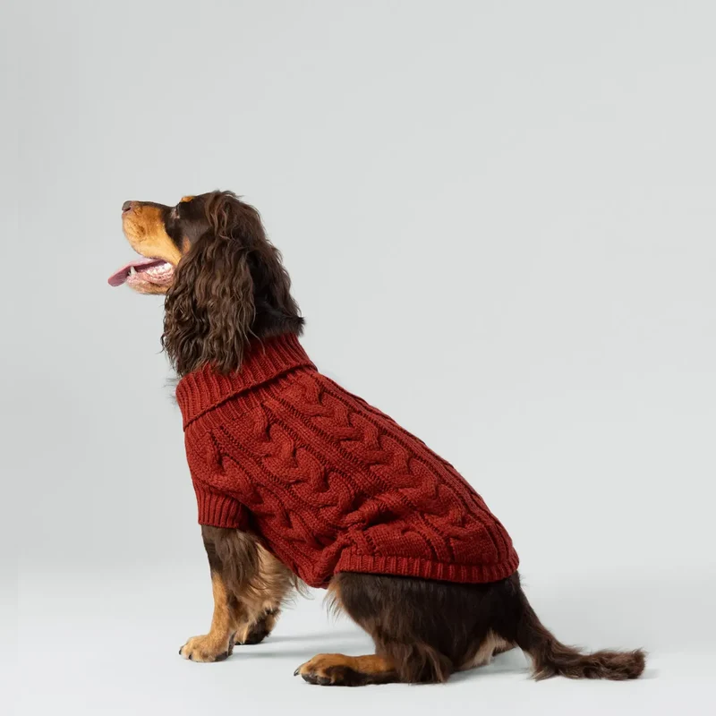 Pull en maille torsadée - Brick