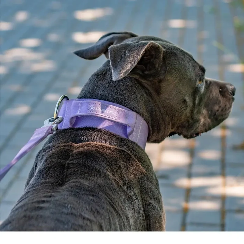 COLLIER TACTIQUE - Lila