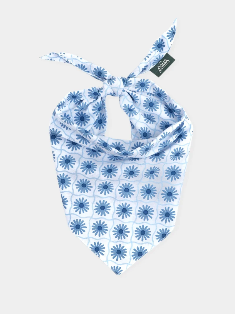 Bandana pour chien - Alfie - The Paws