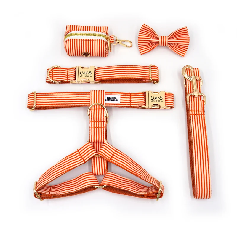 Kit Complet Chien Personnalisé Coton Rayé Orange