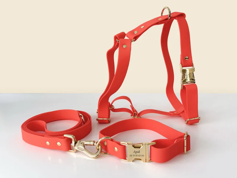 Kit Collier Harnais et Laisse Chien Personnalisé Biothane Orange