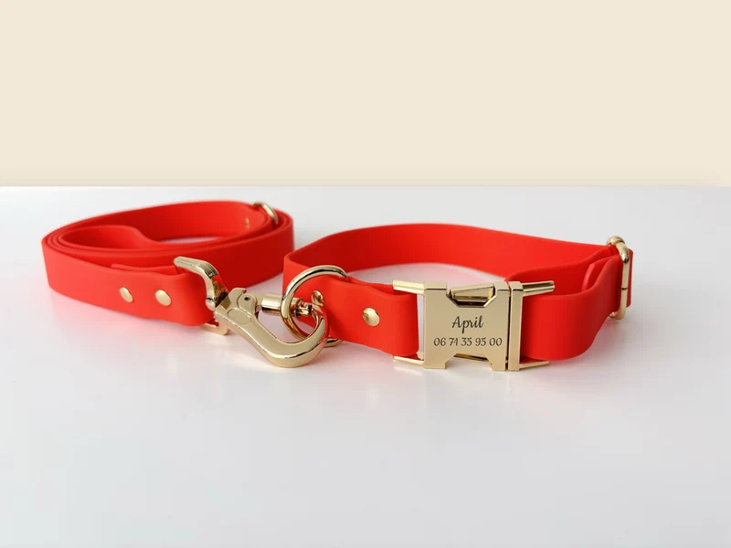 Laisse Chien Biothane Orange