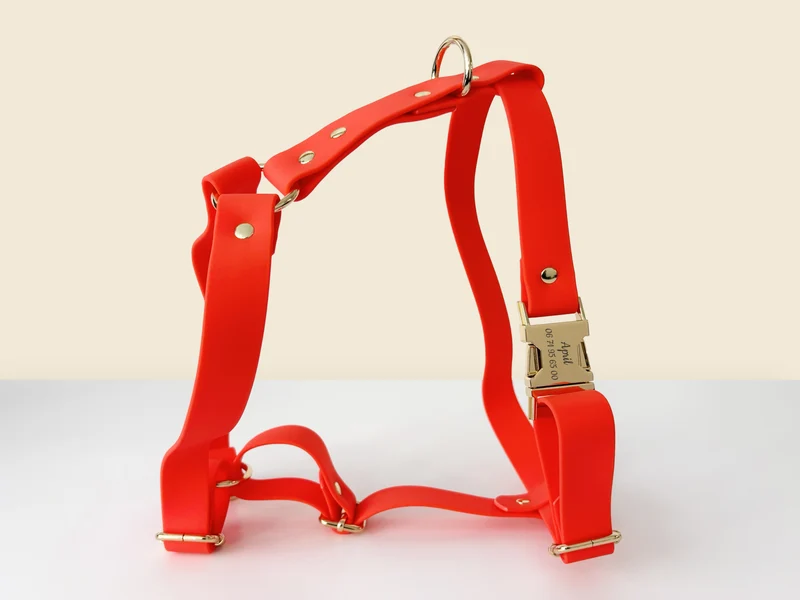 Harnais Chien Personnalisé Biothane Orange