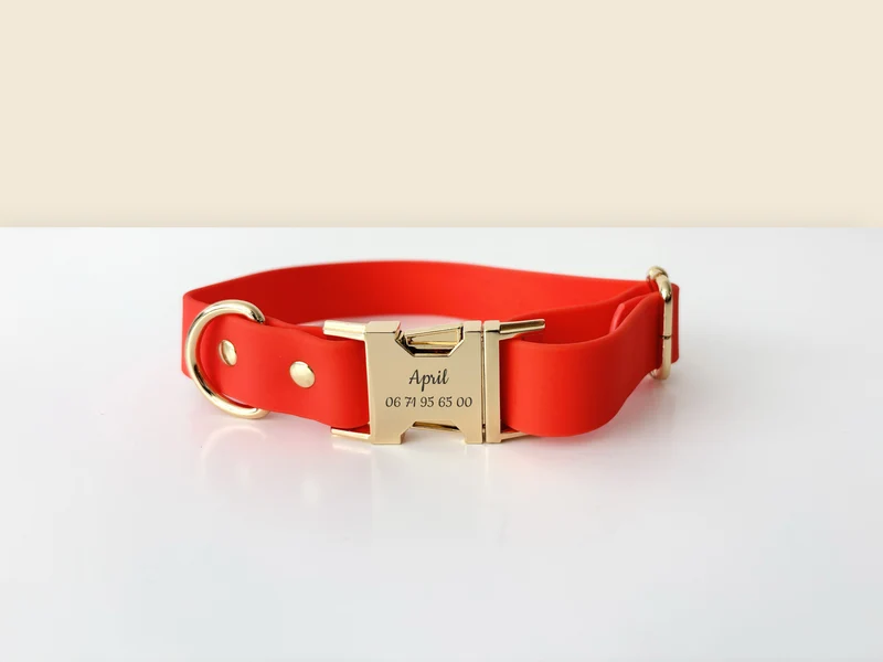 Collier Chien Personnalisé Biothane Orange