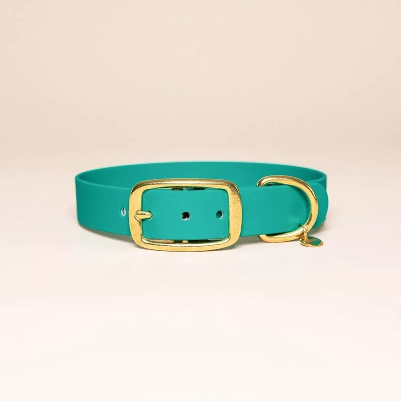 Collier imperméable - Bleu Paon