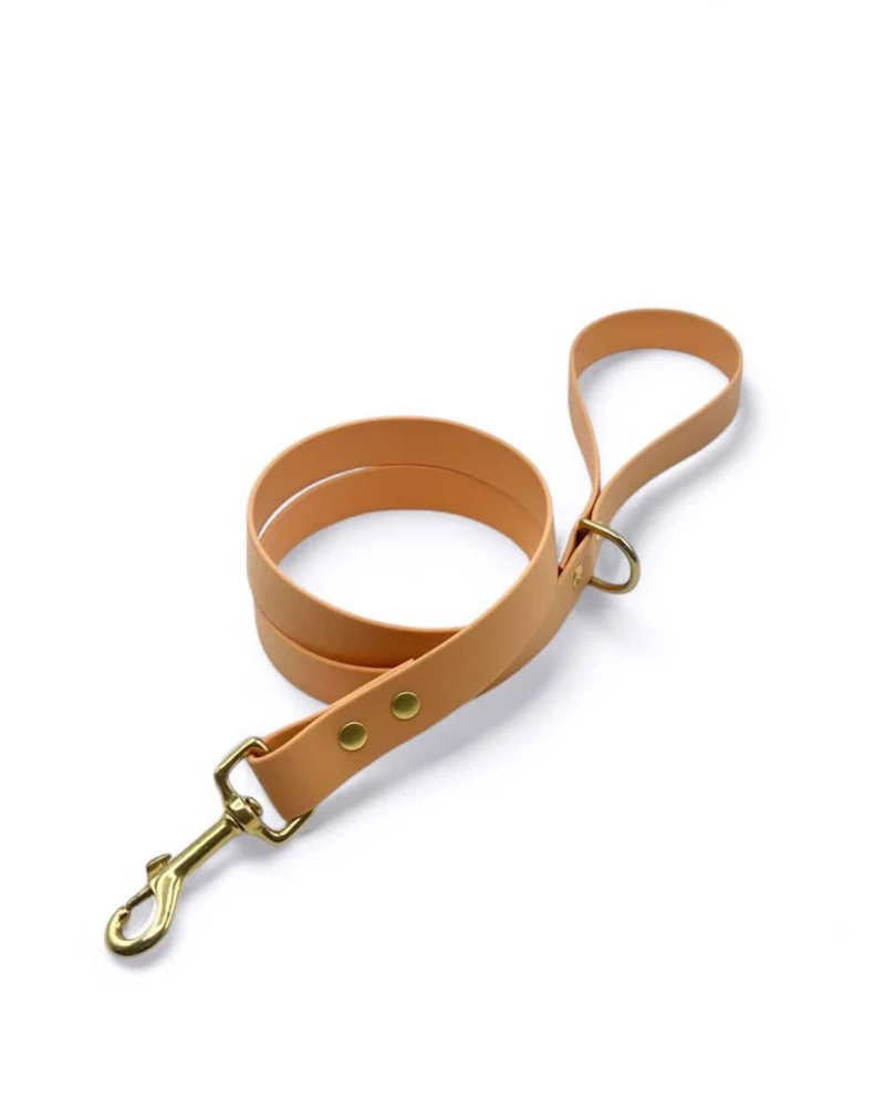 Laisse simple Biothane®