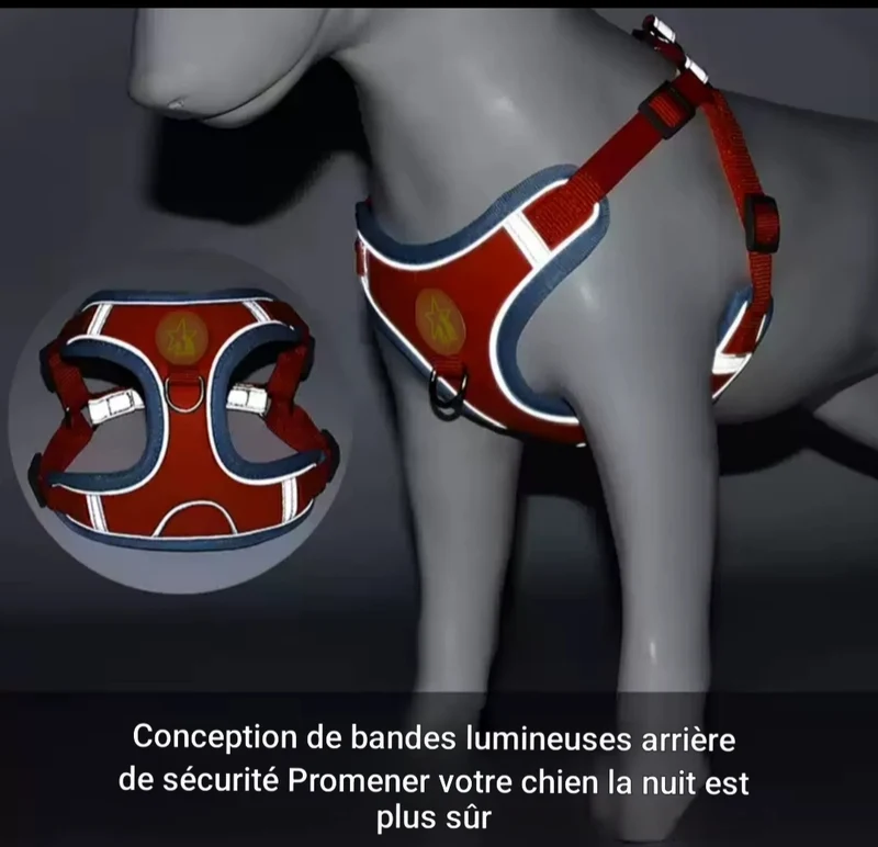 Harnais pour Chien flashi | HarnessColor™