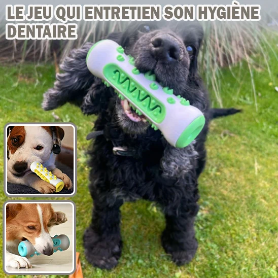 Jouet pour Chien /HappyTooth™