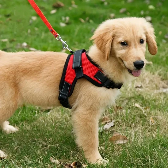 Harnais pour chien sans tirage/No-pullHarness™