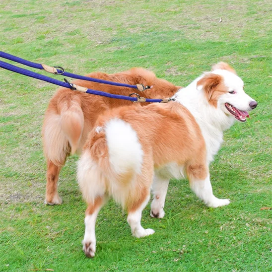 Laisse double pour chien tissé/FourLeash™