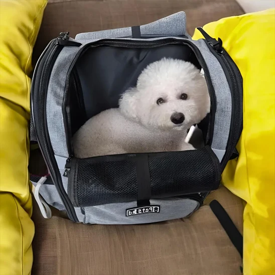 Sac de transport pour chien pliable/ DoubleStaps™