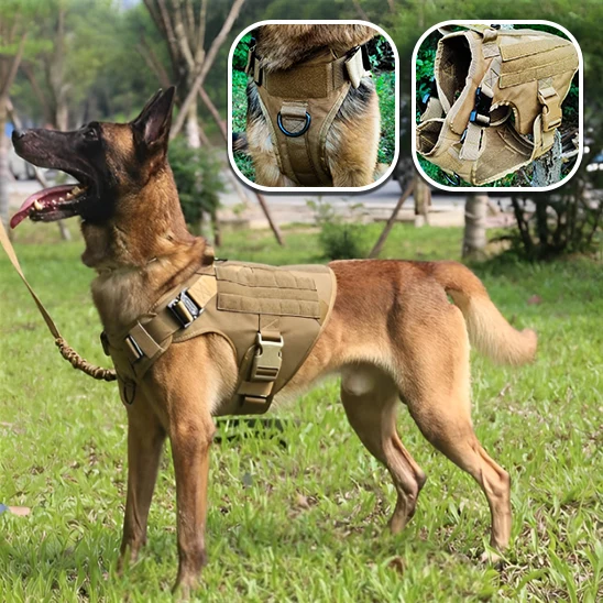 Le harnais chien idéal/HarnessVest ™