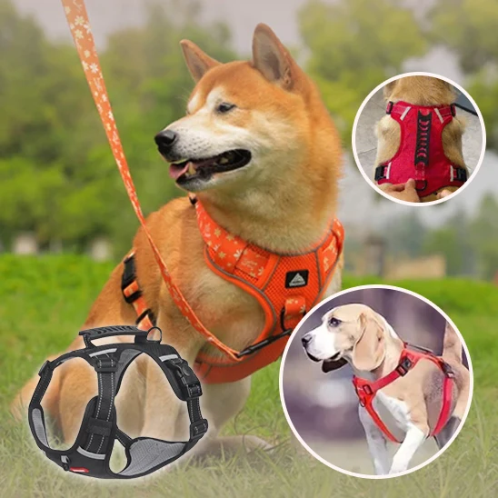 Harnais chien Anti-Traction /HarnessGrip™