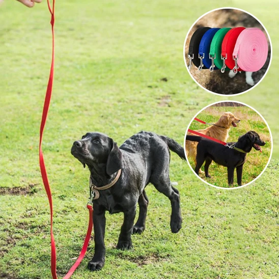 Laisse Chien/Formation TrainedDog™