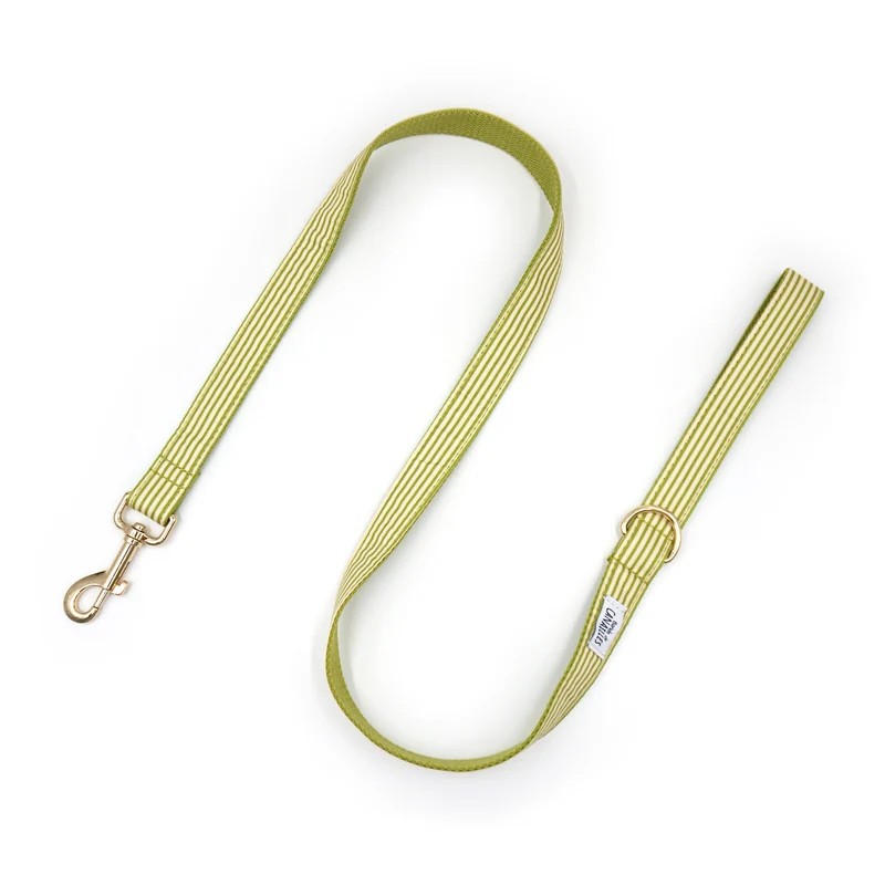 Laisse Chien Coton Vert Rayé