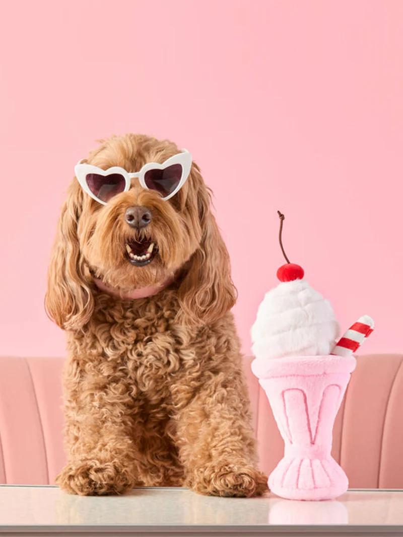 Jouet d'occupation pour chien - Milkshake 🍧 - The Foggy Dog