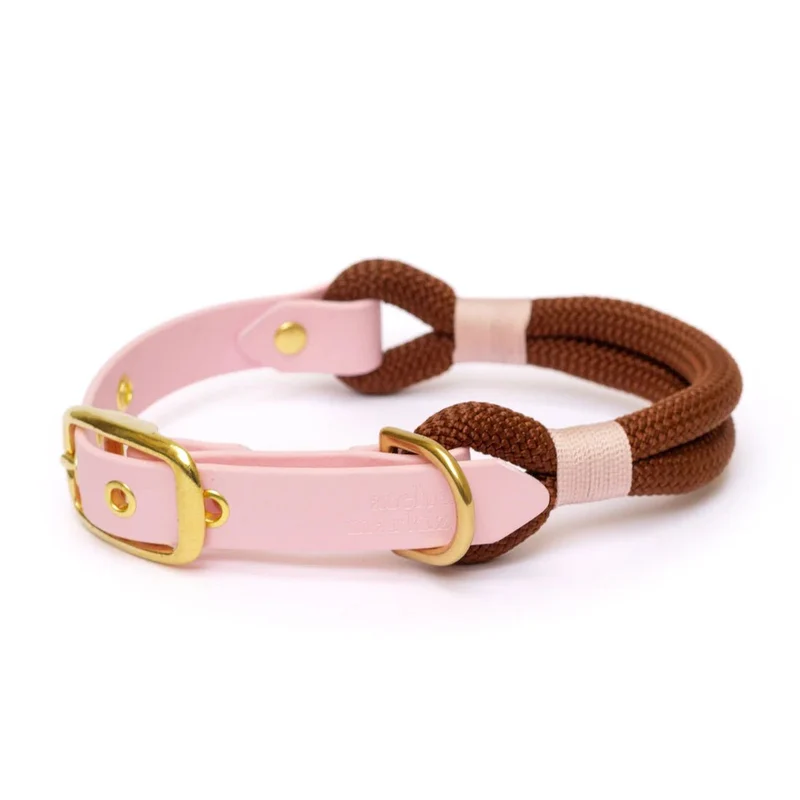 Collier corde & Biothane rose pour chien – Chic & résistant